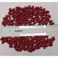Продається посівний матеріал Квасолі Ред Кідні (Red Kidney Bean)