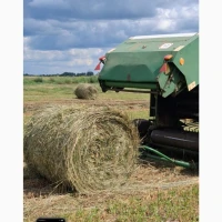 Сіно в рулонах