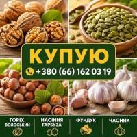 Купую горіх, фундук, насіння гарбуза та часник