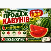 Продам кавун Ау Продюсер Миколаївська область
