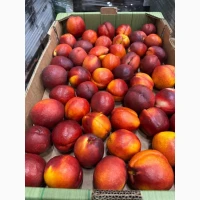 Продам Персик II клас