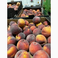 Продам Персик II клас
