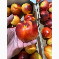 Продам Персик II клас