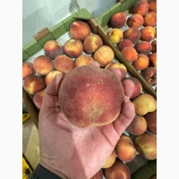 Продам Персик II клас