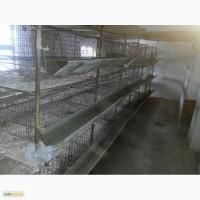Продам клетки для кур бу
