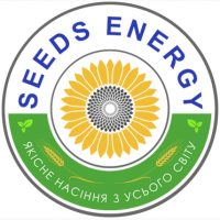 Семена нута