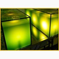 Хлорелла суспензия (Chlorella-Vulgaris) - живой штамм хлореллы