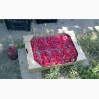 Продам Машину Сорт Полка поляна