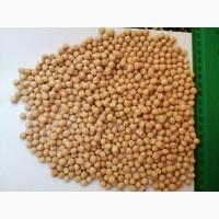 Продаем семена нута сорт Розанна, сорт Красень