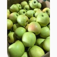 Маємо зелений Голден на продаж.РГС, Самарт фреш