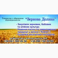 Супровід експорту