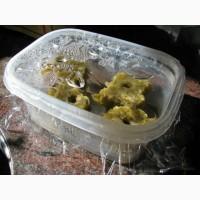 Пробки для проращивания рассады