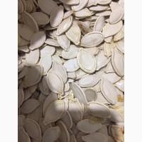 ПРОДАМ гарбузове насіння 14 тон