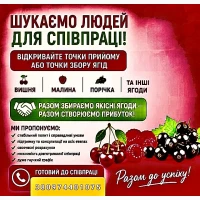 Куплю ягоди полуниці на заморозку