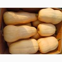 Продам тикву баттернат