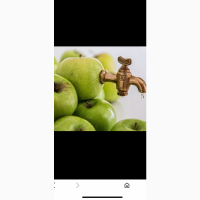 Продам яблука (на переробку)