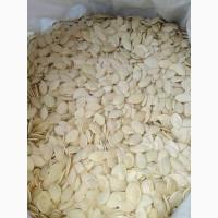 Продам насіння гарбуза українська багатоплідна