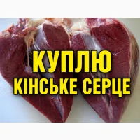Куплю серце кінське заморожене. М*ясну обрізь