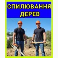 Спилювання дерев корчування пнів