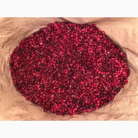 Продам заморожену брусницю очищену 20 тонн