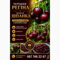 Продам черешню та вишню