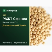 Купити сою РАЖТ Сфінкса на посів - еліта, РН-1