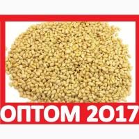 ᐉ 2017 Продам ЯДРО КЕДРОВОЕ Оптом Москва! Купить Ядро Кедрового Ореха Цена КГ Завод