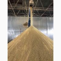 Продам жмых соевый
