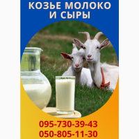 Продам козье молоко и сыры из козьего молока