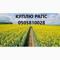 ЗАКУПОВУЮ РІПАК. Виїзд нашим транспортом по всій Україні. Розрахунок Ф2