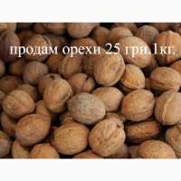 Продам грецкий орех