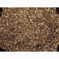 Махорка проста самосад