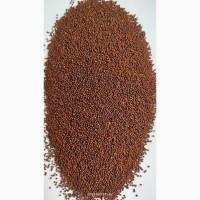 Гірчиця чорна (Brassica nigra)- 50 тон