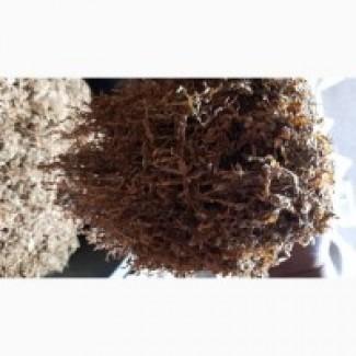 Тютюн опт та роздріб Гавана Дюбек Вірджинія Руно Голд Вінстон Кап Блек Махорка Ксанті