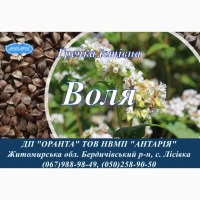 Насіння гречки Воля (БН, еліта)