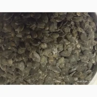 Продам посівмат голонасінних гарбузів гляйсдорфер