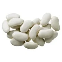 Закупівля квасолі для переробки та консервації