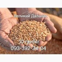 Ячмінь, пшениця корма для тварин