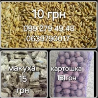Ячмінь, пшениця корма для тварин