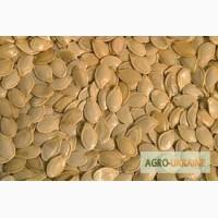 Куплю насіння гарбуза Дорого, по всій Україні