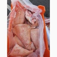 Щека на шкуре баки