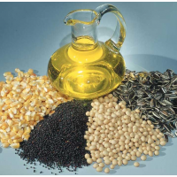 Закупаем зерновые и масленичные культуры