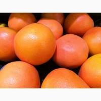 Продам Грейпфрут (ЮАР, 35 калибр, розовый)