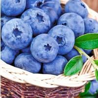 3вкуп08уєм0 яг0ду ( п0луниця, см0р0динв, л0хинв, вгрус, мвлинв, п0рі4кв )