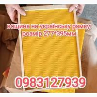 Вощина для українського вулика