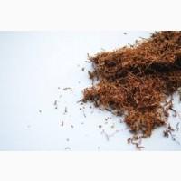 Продам крепку і середню Махорку, також в наявності Вірджинія Берлі, Міленіум, Гавана, Гільз