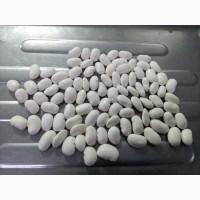 Куплю фасоль