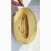 Диня Мазим