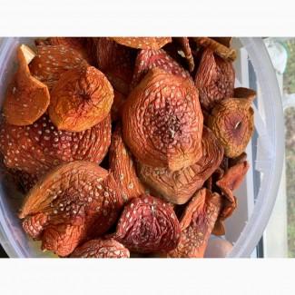 ПРОДАМ МУХОМОРИ 2024 пантерні червоні сушені