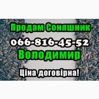Підприємство продає соняшник!!! Будь який обсяг, за договірною ціною